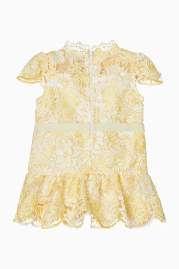 Cassandra Embroidered Mini Dress