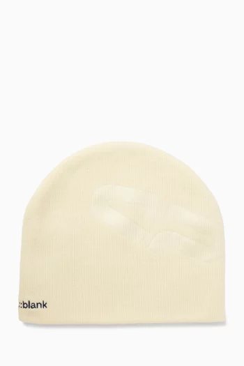 قبعة بيني سكل