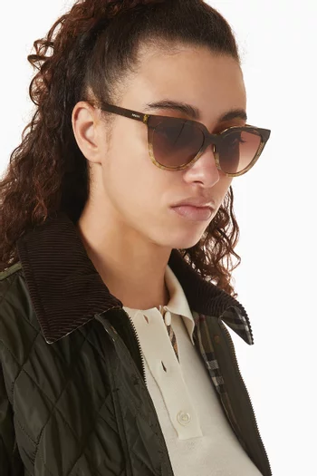 نظارة شمسية بإطار على شكل حرف D أسيتات