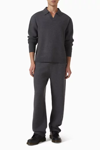 Polo Sweater in Merino Wool