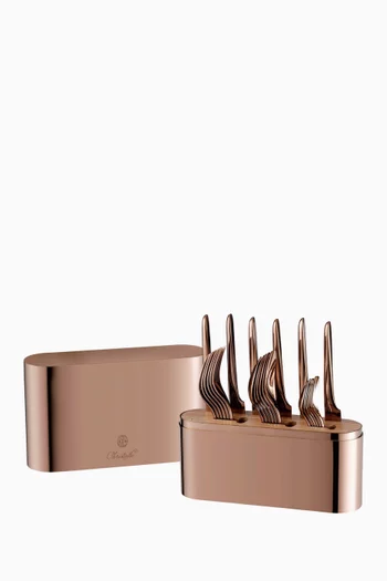 Concorde Cutlery Case in Stainless Steel