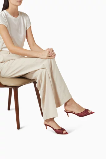 Anisa 55 Crystal Mule Sandals in Mesh