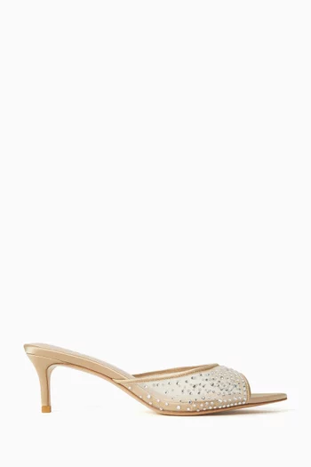 Anisa 55 Crystal Mule Sandals in Mesh