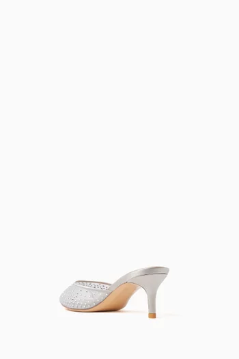 Anisa 55 Crystal Mule Sandals in Mesh