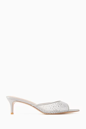 Anisa 55 Crystal Mule Sandals in Mesh