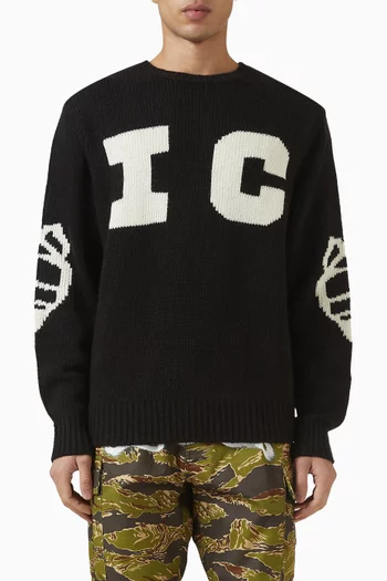 Running Dog Sweater in Knit