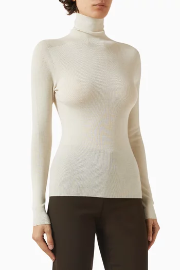 Turtleneck Sweater in Wool