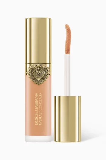 خافي عيوب البشرة ايفرلاست درجة 17 ميديام، 11 ملل