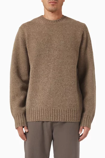 Gary Fleck Roundneck Sweater in Wool