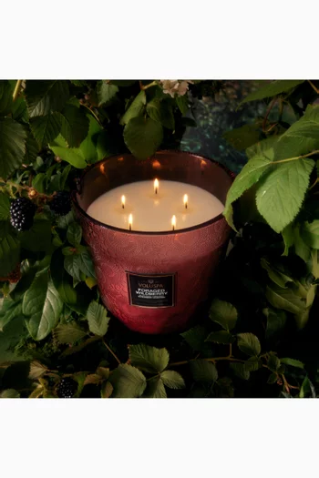 Foraged Wildberry 5 Wick Hearth Candle, 3500g