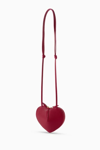 Mini Le Coeur Crossbody Bag in Suede