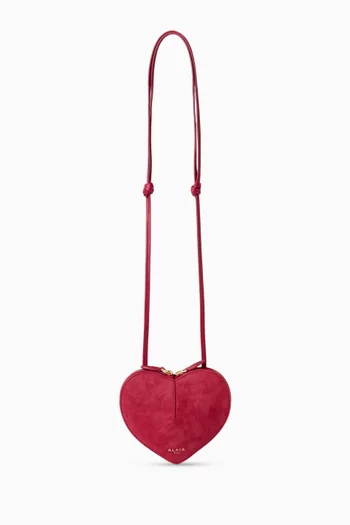 Mini Le Coeur Crossbody Bag in Suede