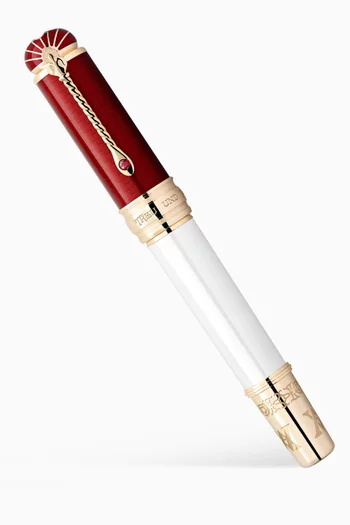 Homage to Albert Limited Edition 4810 Fountain Pen