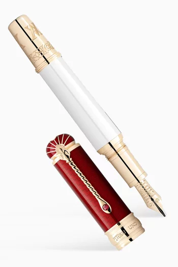 Homage to Albert Limited Edition 4810 Fountain Pen