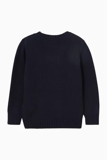 Bear Embroidered Sweater in Knit