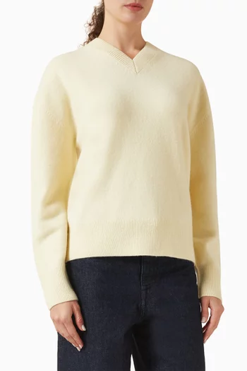 V-neck Sweater in Knit