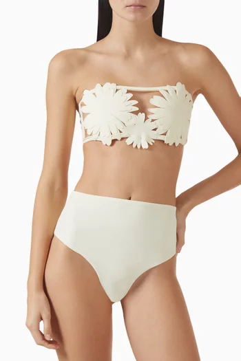 قطعة بيكيني علوية صوفيا نايلون مطاطي