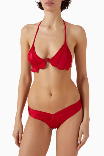 طقم بيكيني كوكو