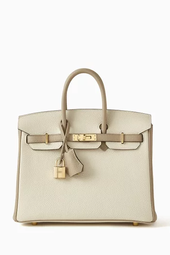 Birkin 25 Bag in Togo Leather