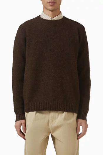 Crewneck Sweater in Knit