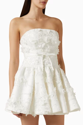 Embroidered Bustier Mini Dress