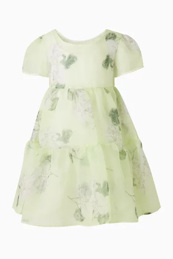 Floral Organza Dress