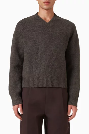 Oversized V-neck Sweater in Knit