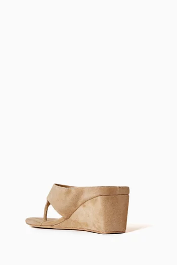 Swift 65 Thong Platform Sandals in Suede