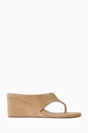 Swift 65 Thong Platform Sandals in Suede