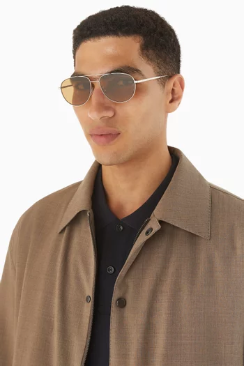 Aviator Sunglasses in Stainless Steel