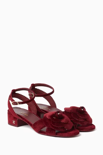 حذاء مزين بزهرة مخمل غير مستعمل، مقاس 38 بالمقاسات الأوروبية