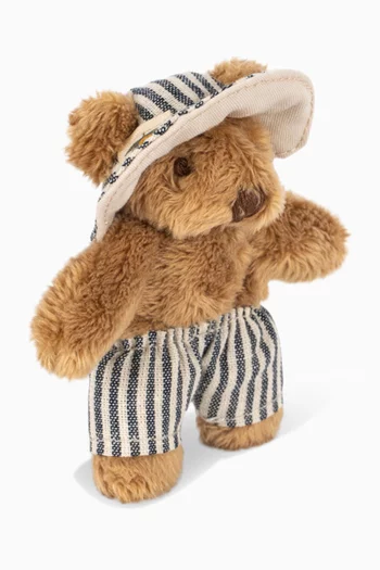 Tiny Travel Teddy Bear Set