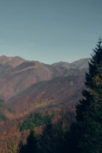 ماء عطر لا بانوراميكا