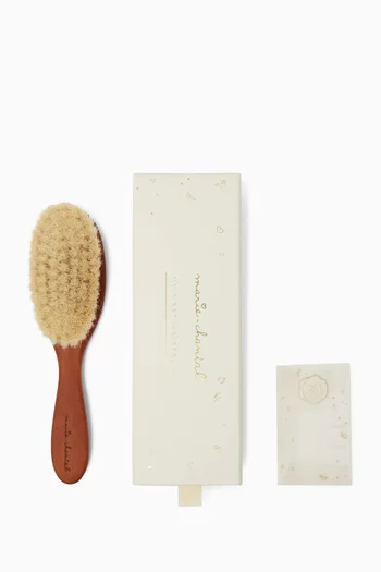 Aristidis Hairbrush with Crest