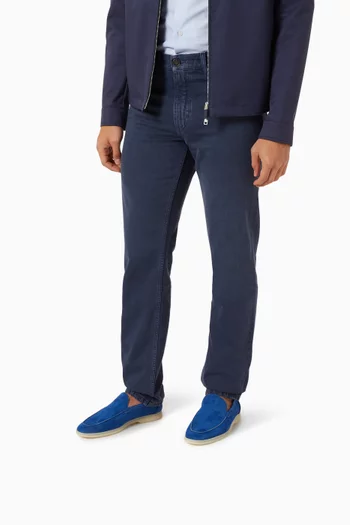 Ludovico Premium Loafers in Suede