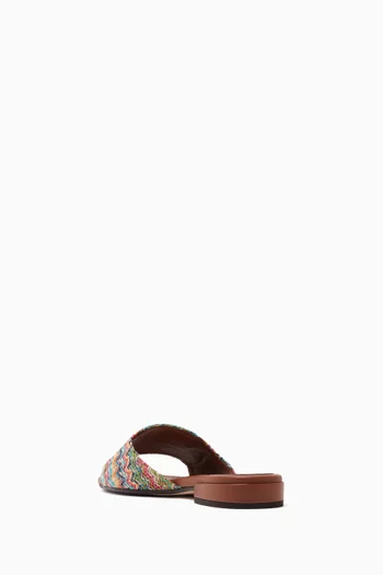Dina Mule Sandals in Raffia