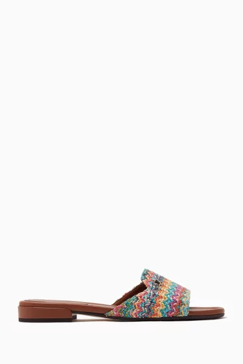 Dina Mule Sandals in Raffia