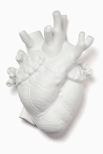 صندوق لوف ان بلوم لوف