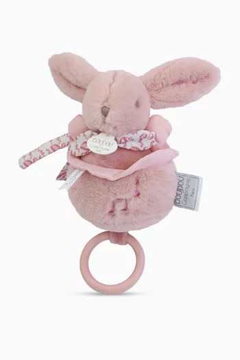 Musical Bunny Plush Toy