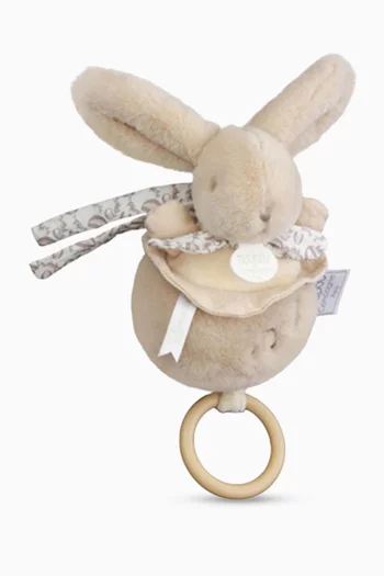 Musical Bunny Plush Toy