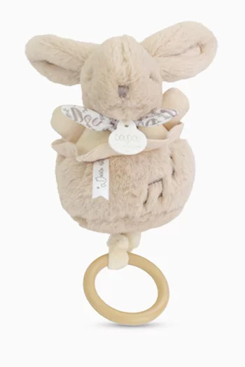 Musical Bunny Plush Toy