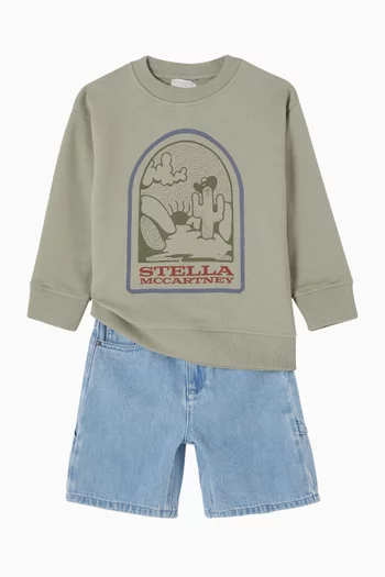Desert Graphics Sweatshirt