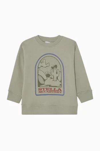 Desert Graphics Sweatshirt