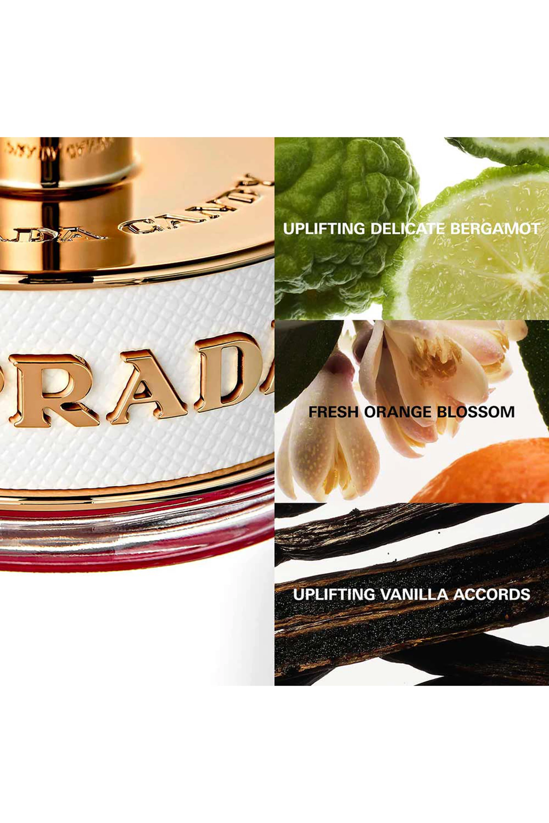 Candy kiss prada perfume 2025