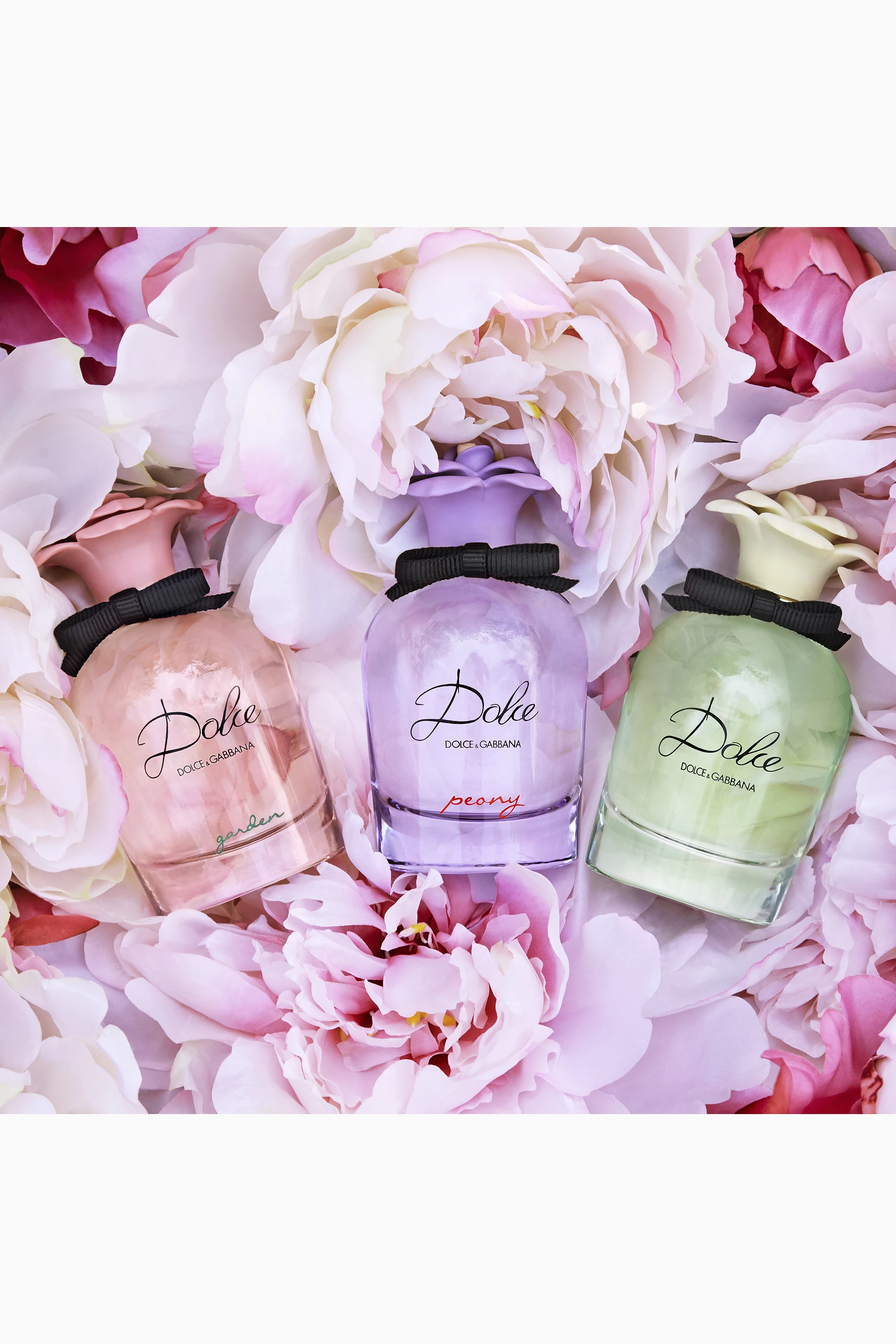 Dolce peony hotsell gift set