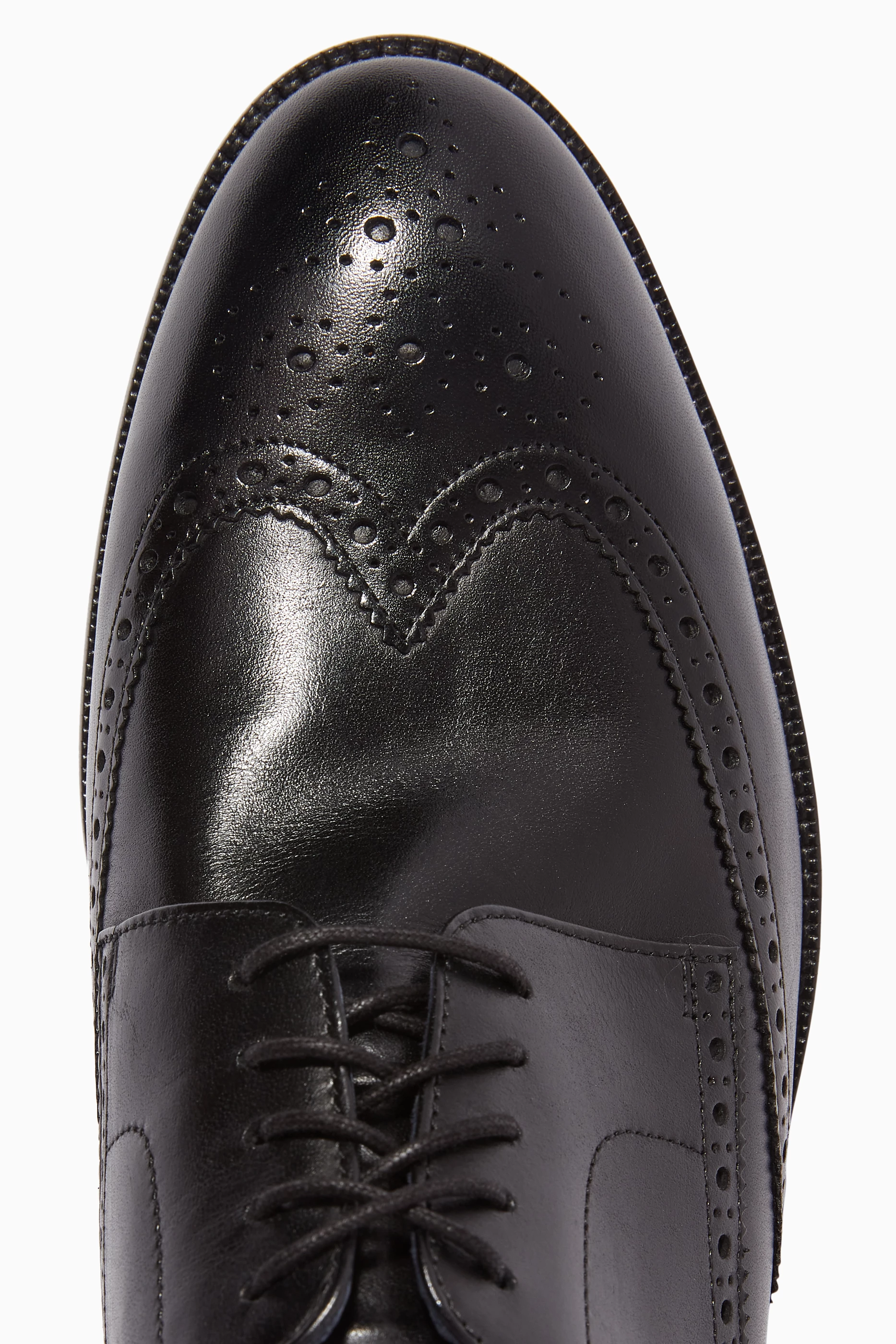 Cole haan 2025 harrison wingtip