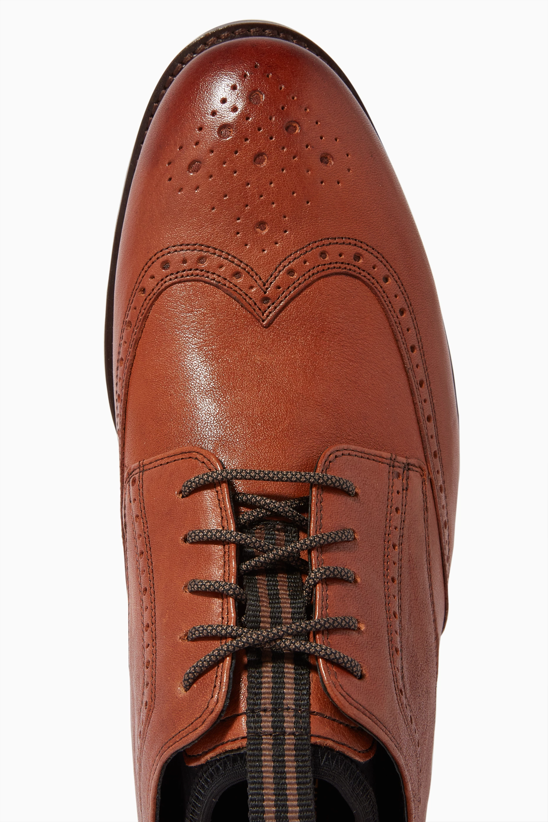 Holland long wing oxford 2025