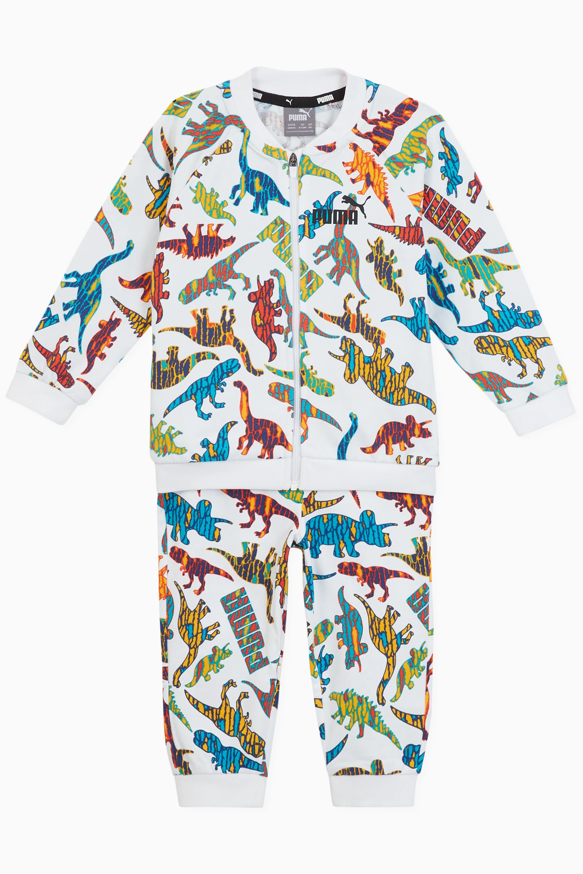 Dinosaur tracksuit hotsell
