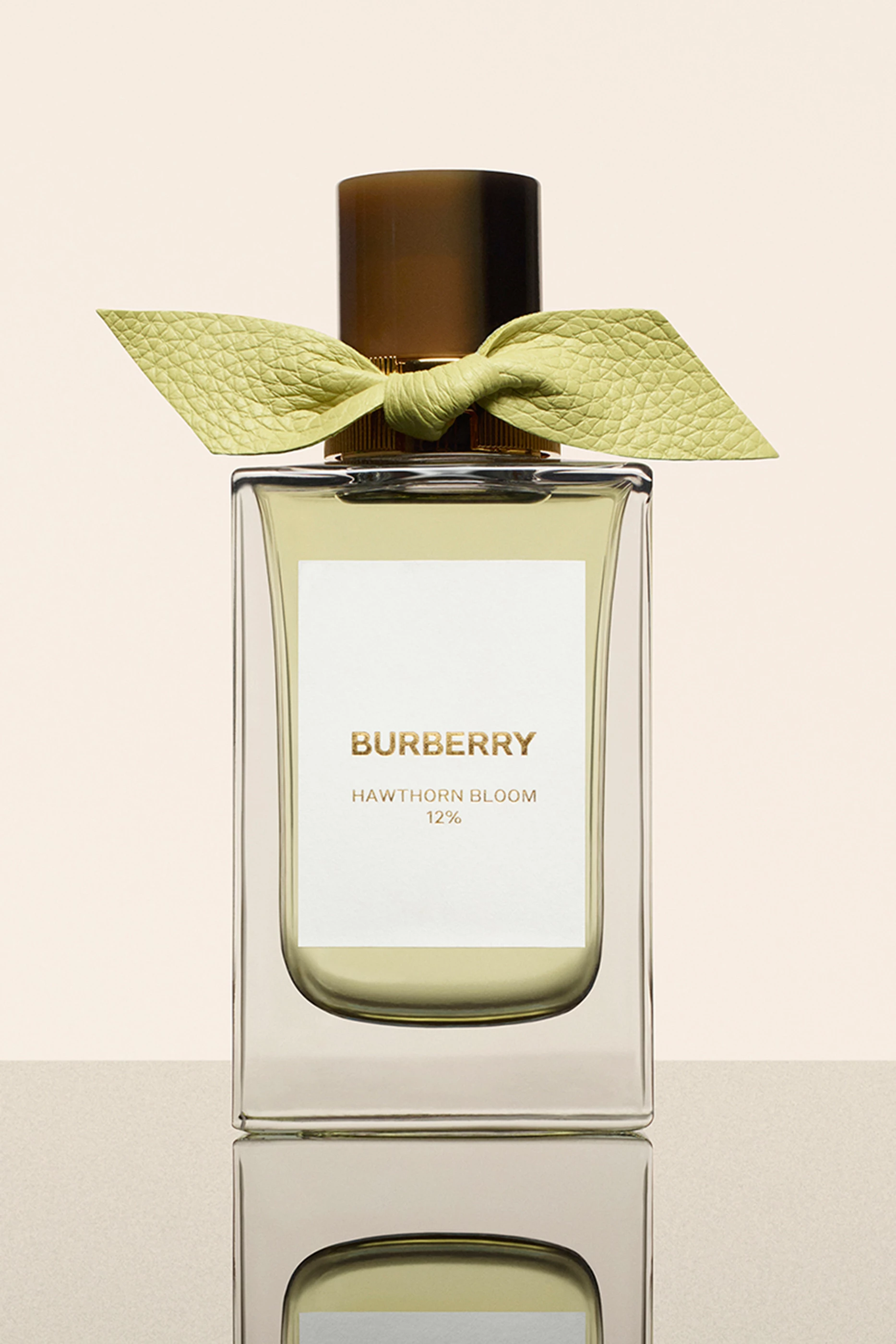 Burberry bloom outlet
