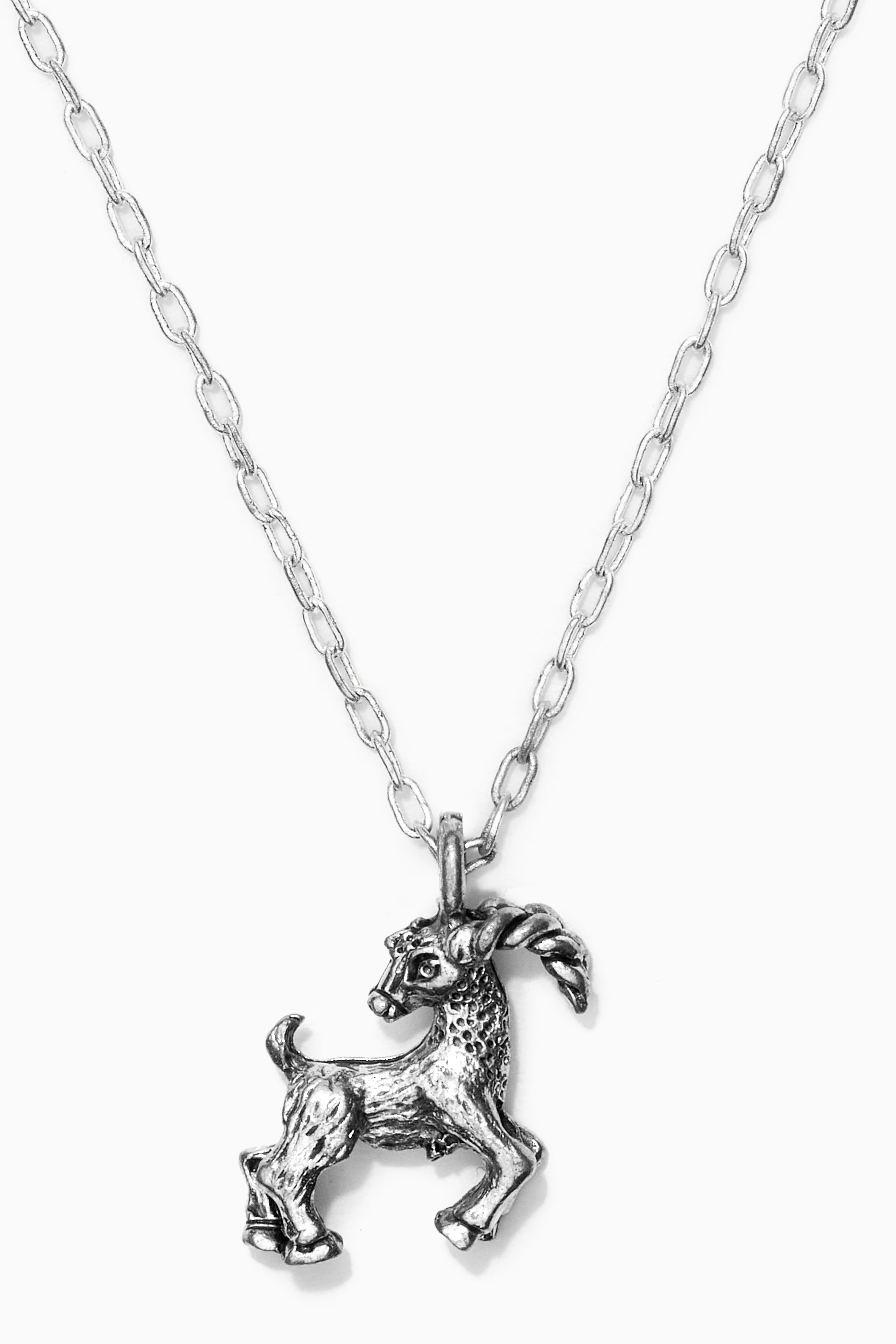 Capricorn necklace on sale